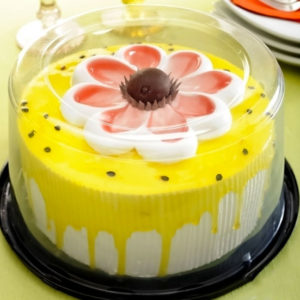 G 50CT PARATORTA PEQUENOUENA             (CX COM050) em Bom Jesus dos Perdões SP