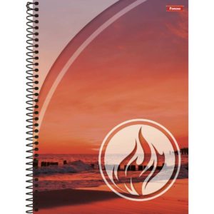 CADERNO ESPIRAL 1/4 CApa DURA QUATRO ELEMENTOS 80FLS  - FORONI em Bom Jesus dos Perdões SP