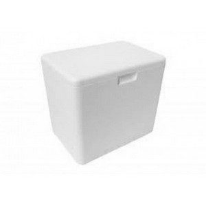 CAIXA DE ISOPOR  02 LTS em Bom Jesus dos Perdões SP