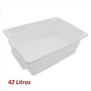 CAIXA FRIGORIFICA 42 LTS  PLASNEW em Bom Jesus dos Perdões SP