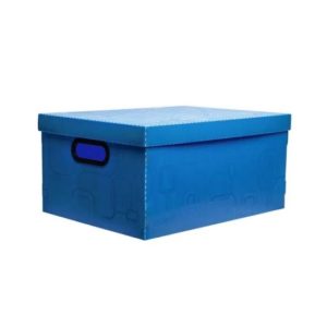 CAIXA ORGANIZ N.2-PEQUENOUE AZ DELLO (56104)