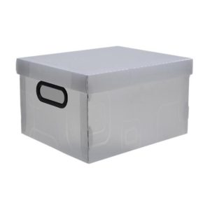 CAIXA ORGANIZ N.2-PEQUENOUE CR DELLO (56105) em Bom Jesus dos Perdões SP