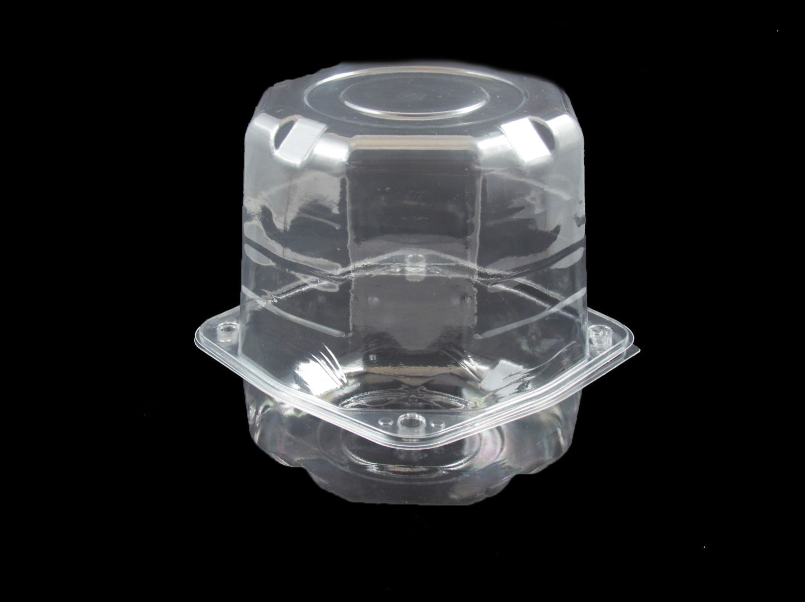 G 33 PARA paNETONE 500G (CX COM100) G 33 PARA paNETONE 500G (CX COM100)