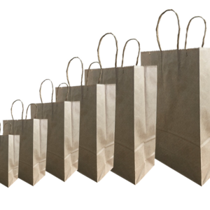 SACOLA PARA PRES. KRAFT PLUMA S5 42X30X13CM (PCT COM10)