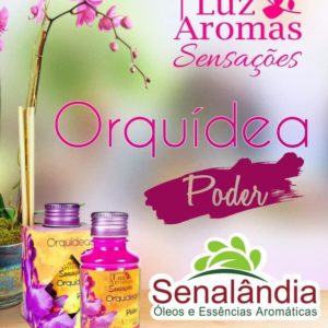 SENALÂNDIA - AROMATIZANTE LUZ E AROMAS ORQUIDEAS 100ML em Bom Jesus dos Perdões SP